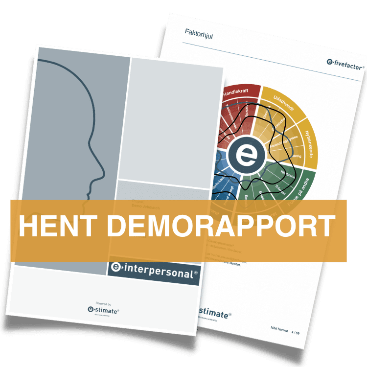 Jobprofil og jobmatch demoprofil