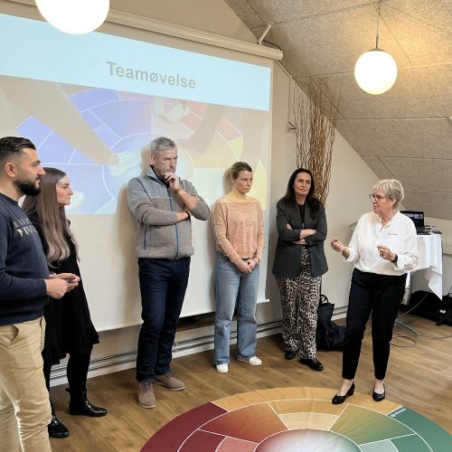 Teamworkshop-konsulent